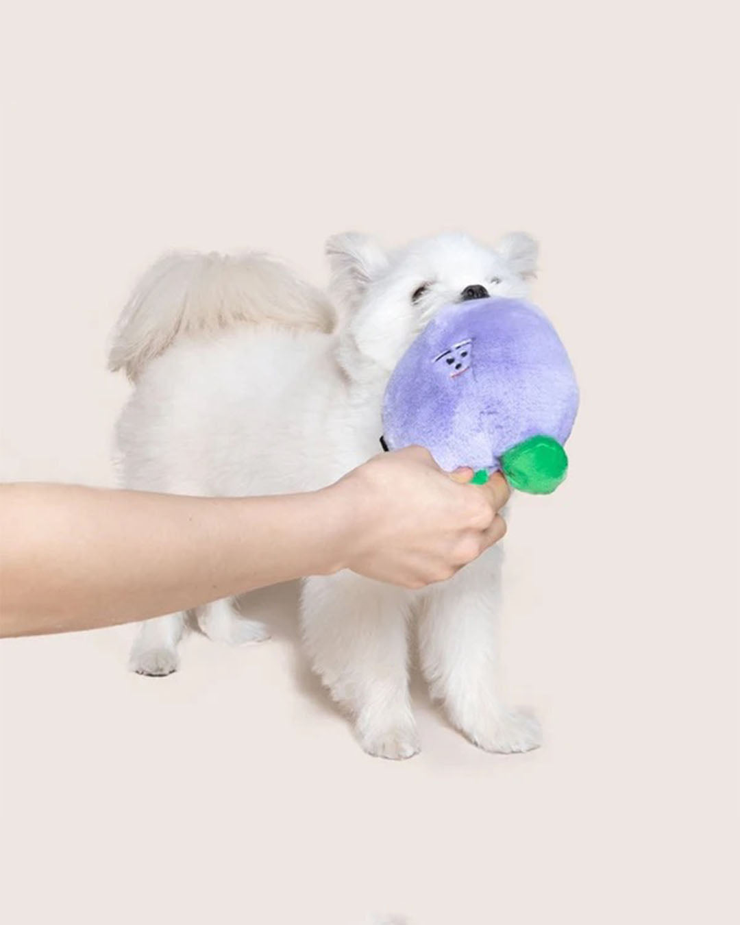 Squeaker Toy - Pong