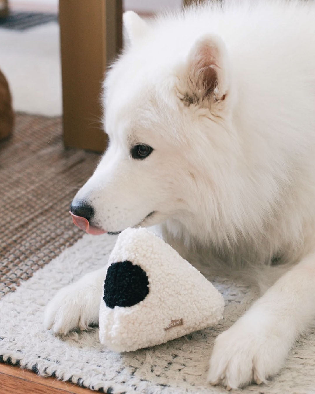 3D Spotted Triangle with Squeaker