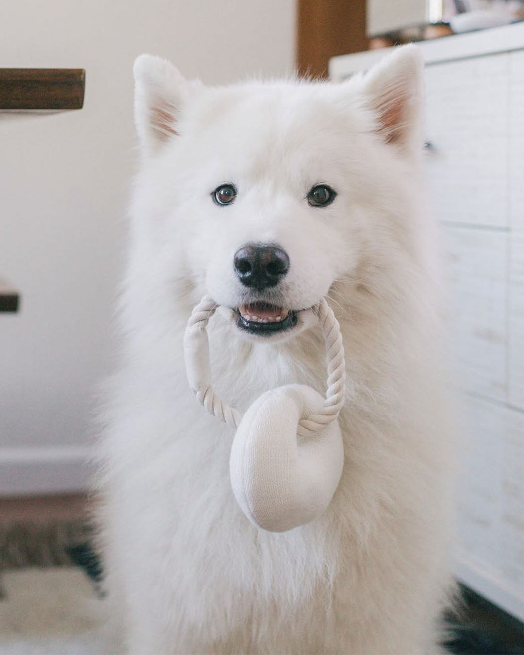 Croissant Plush Toy with Chew Rope
