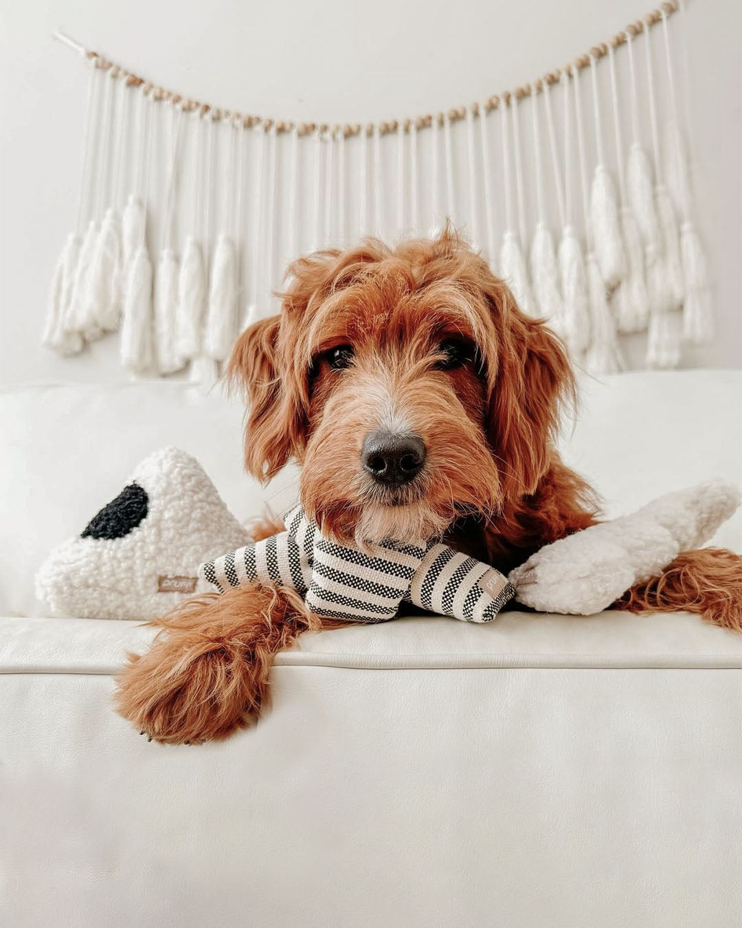 Knot Plush Toy with Crinkle