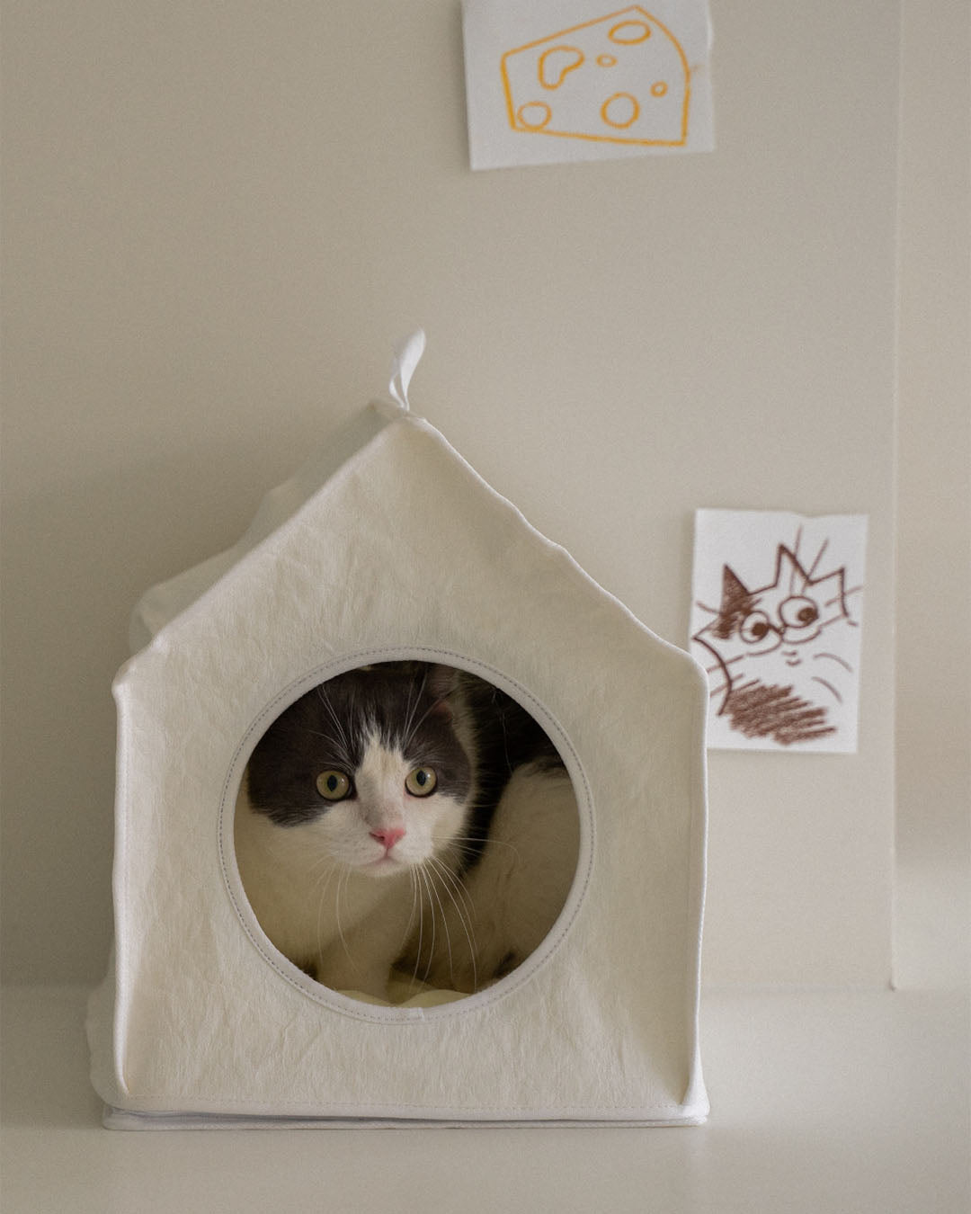 Sleep House