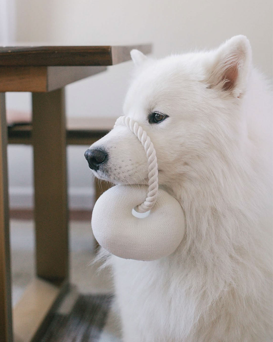 Croissant Plush Toy with Chew Rope