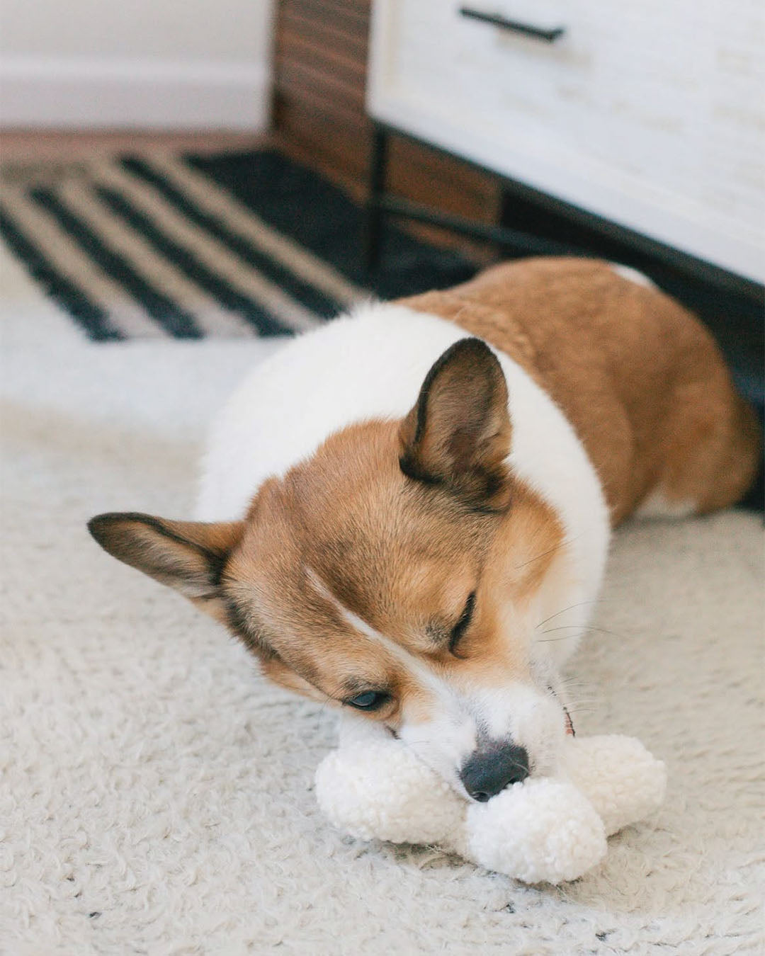 Hugs Boucle Toy with Squeaker