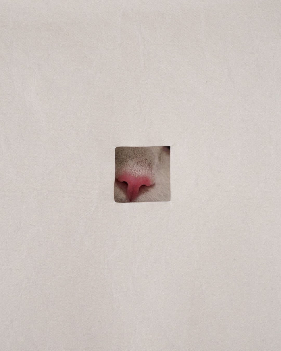 Sleep House