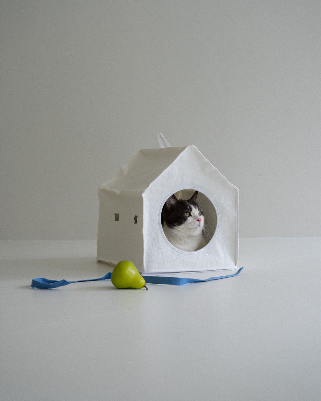 Sleep House