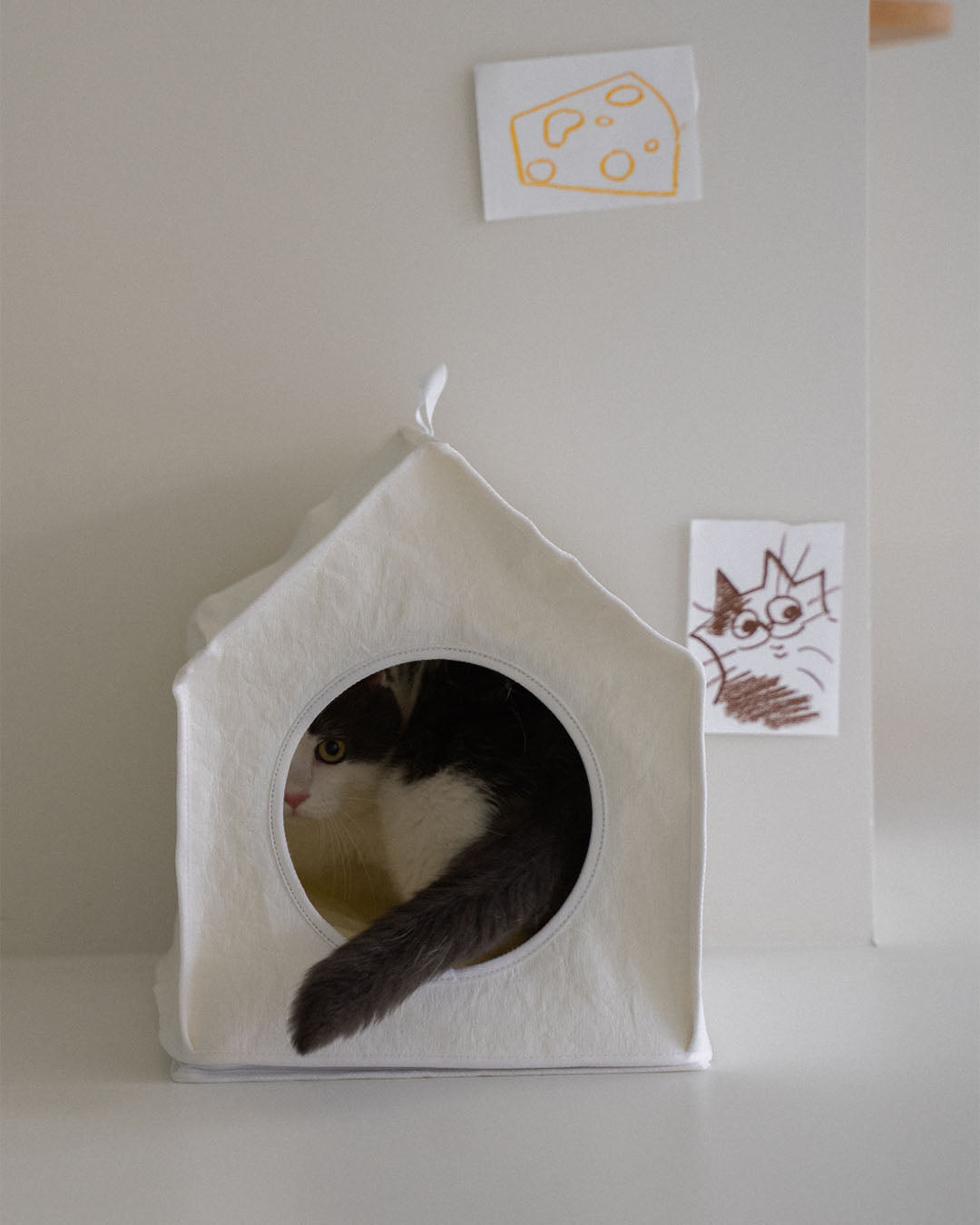 Sleep House