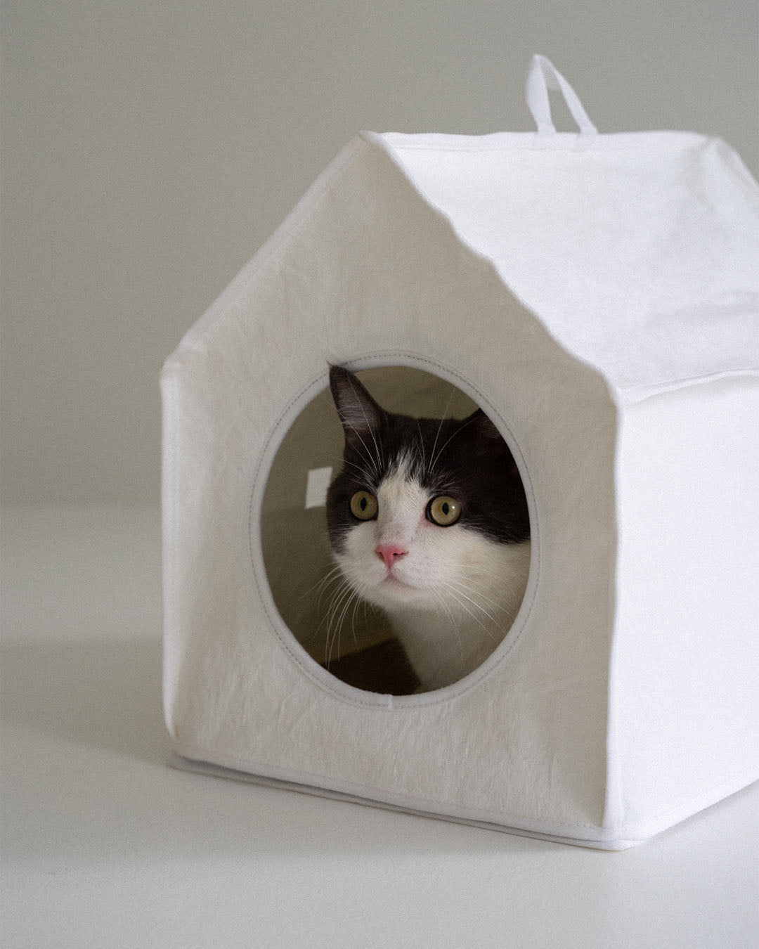 Sleep House