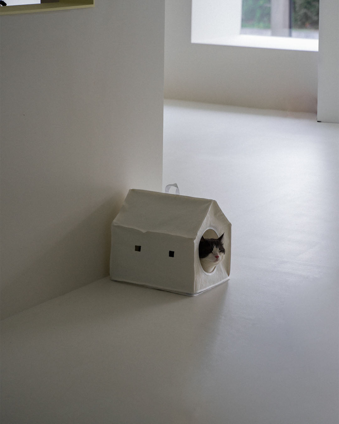 Sleep House