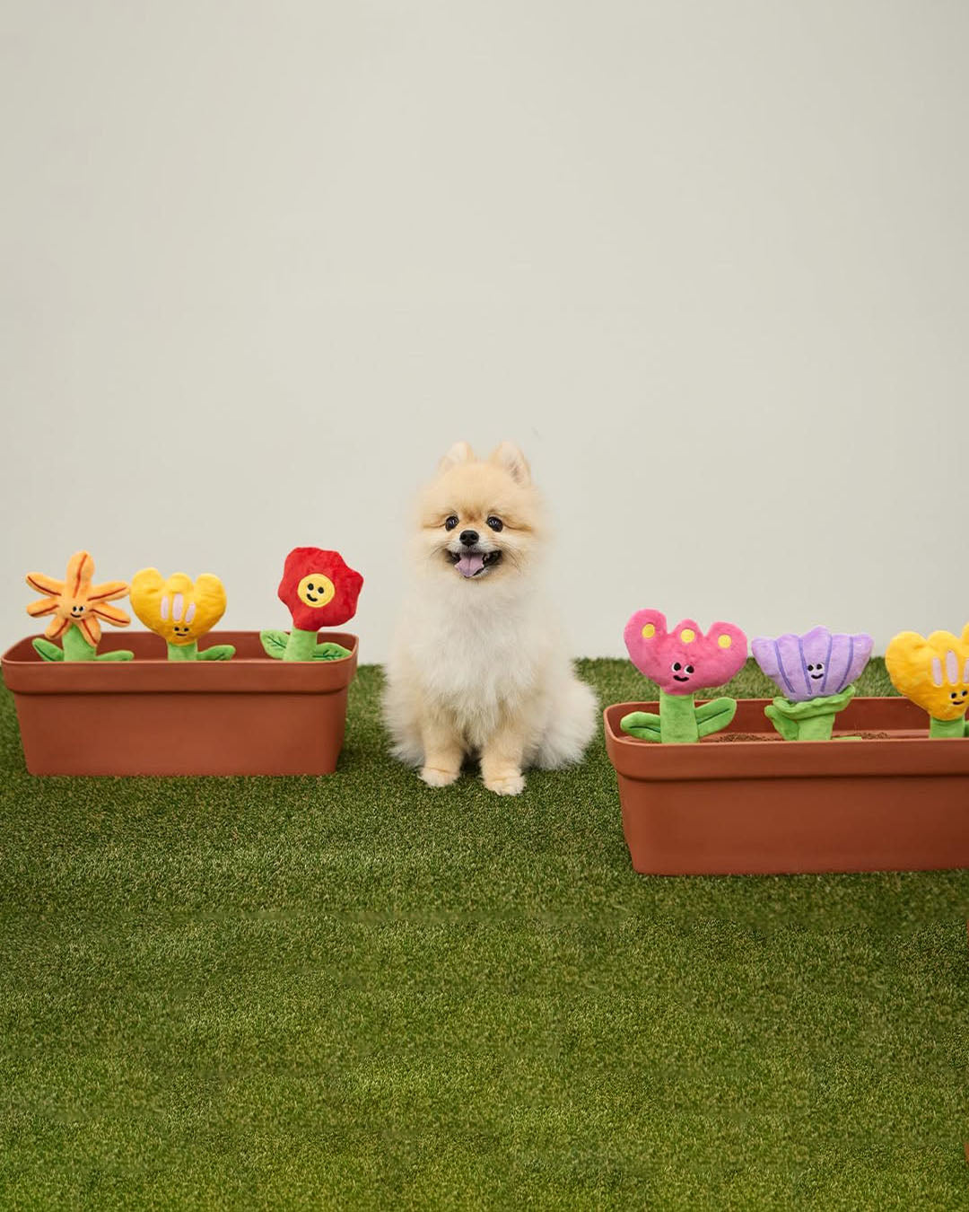 Crinkle Squeaker Toy - Anemone