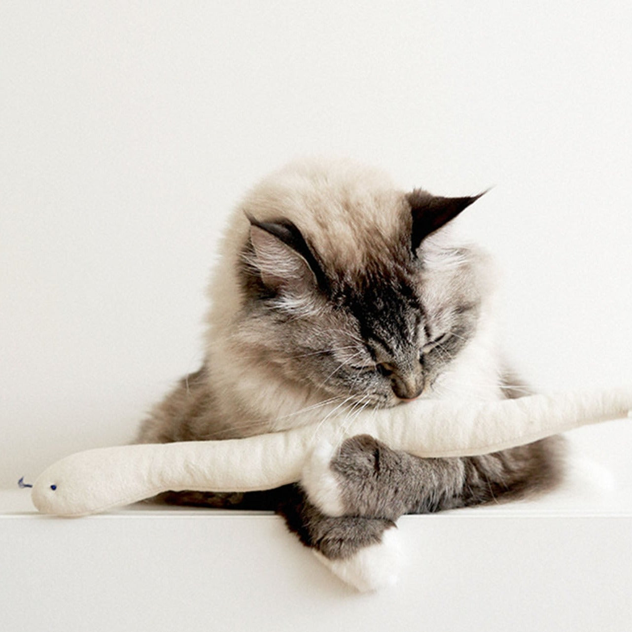 A cat sniffing Bamdoll with Catnip toy.