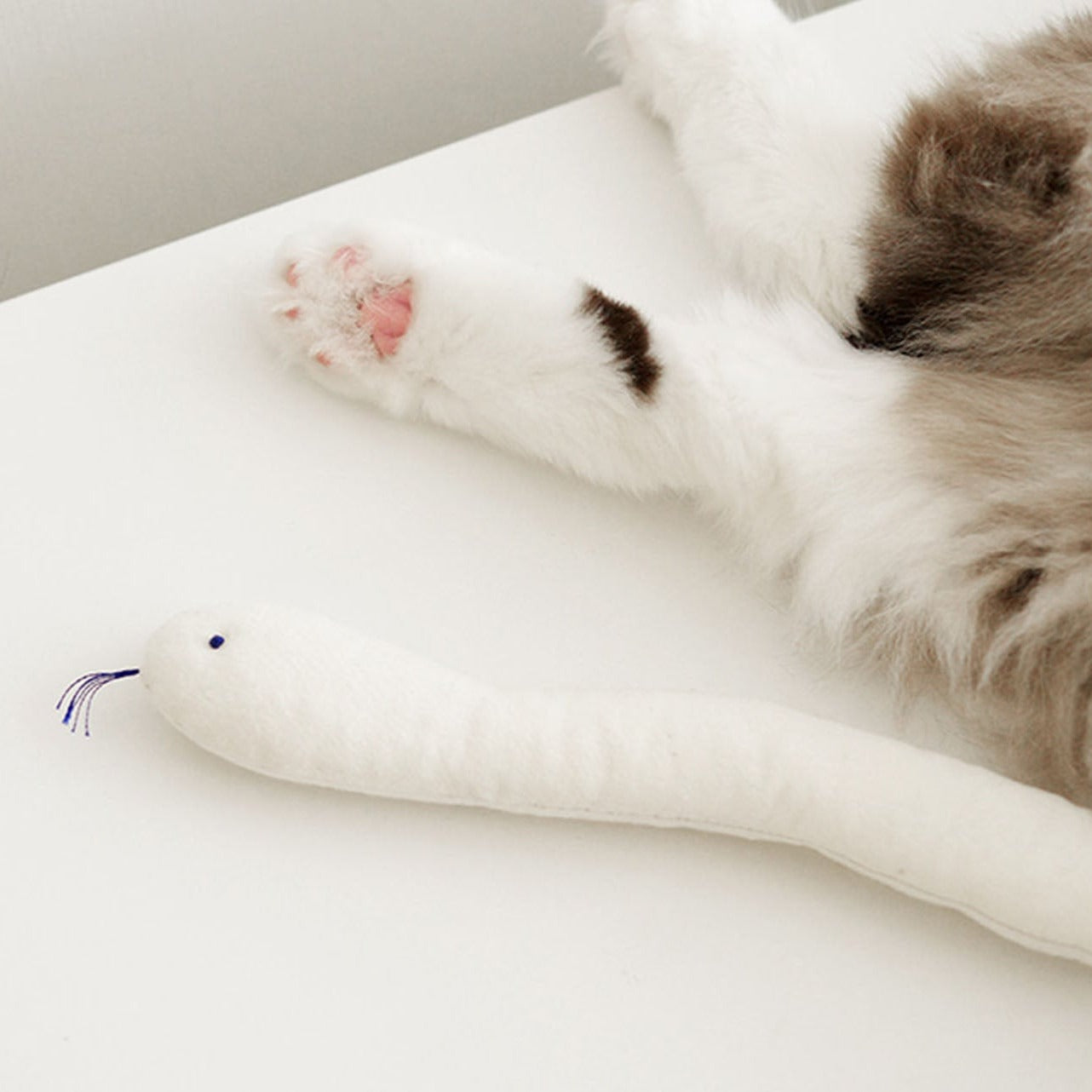 A cat's paw next to Bamdoll with Catnip.