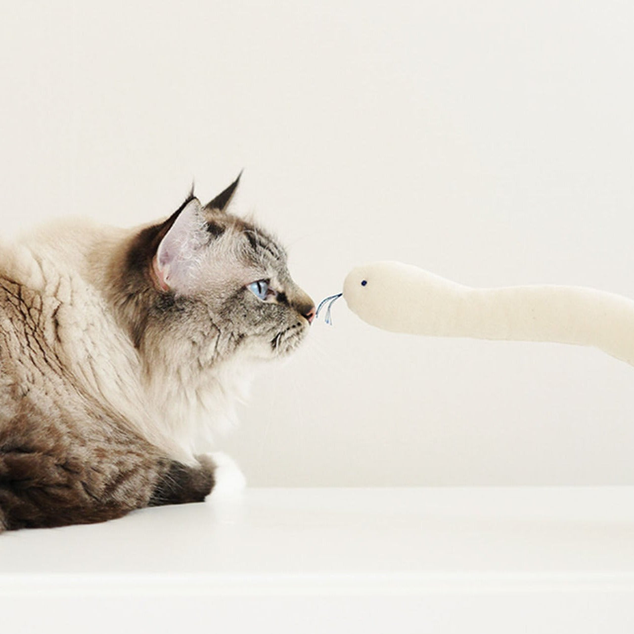 A cat staring at Bamdoll with Catnip.