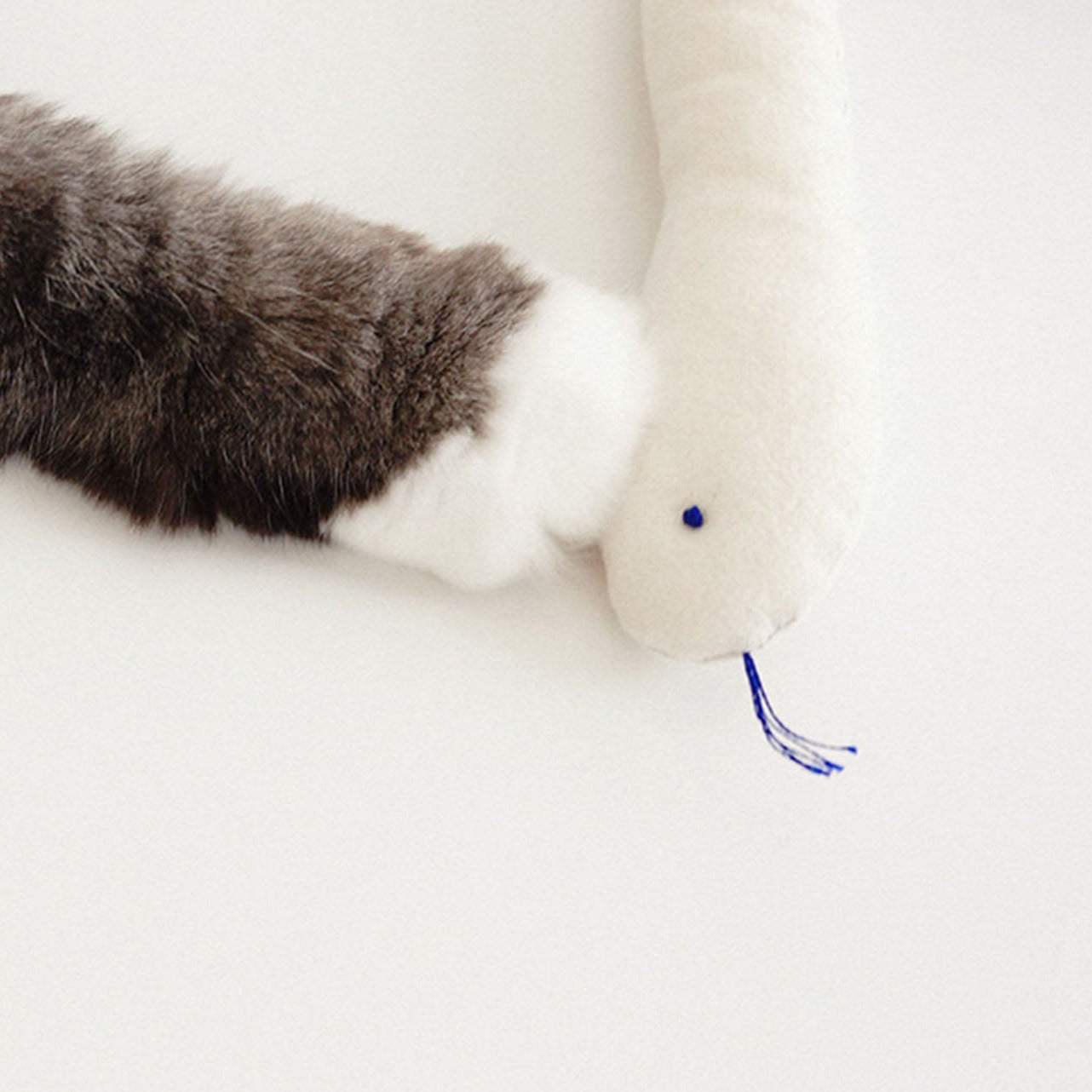 A cat's feet on the Bamdoll with Catnip.
