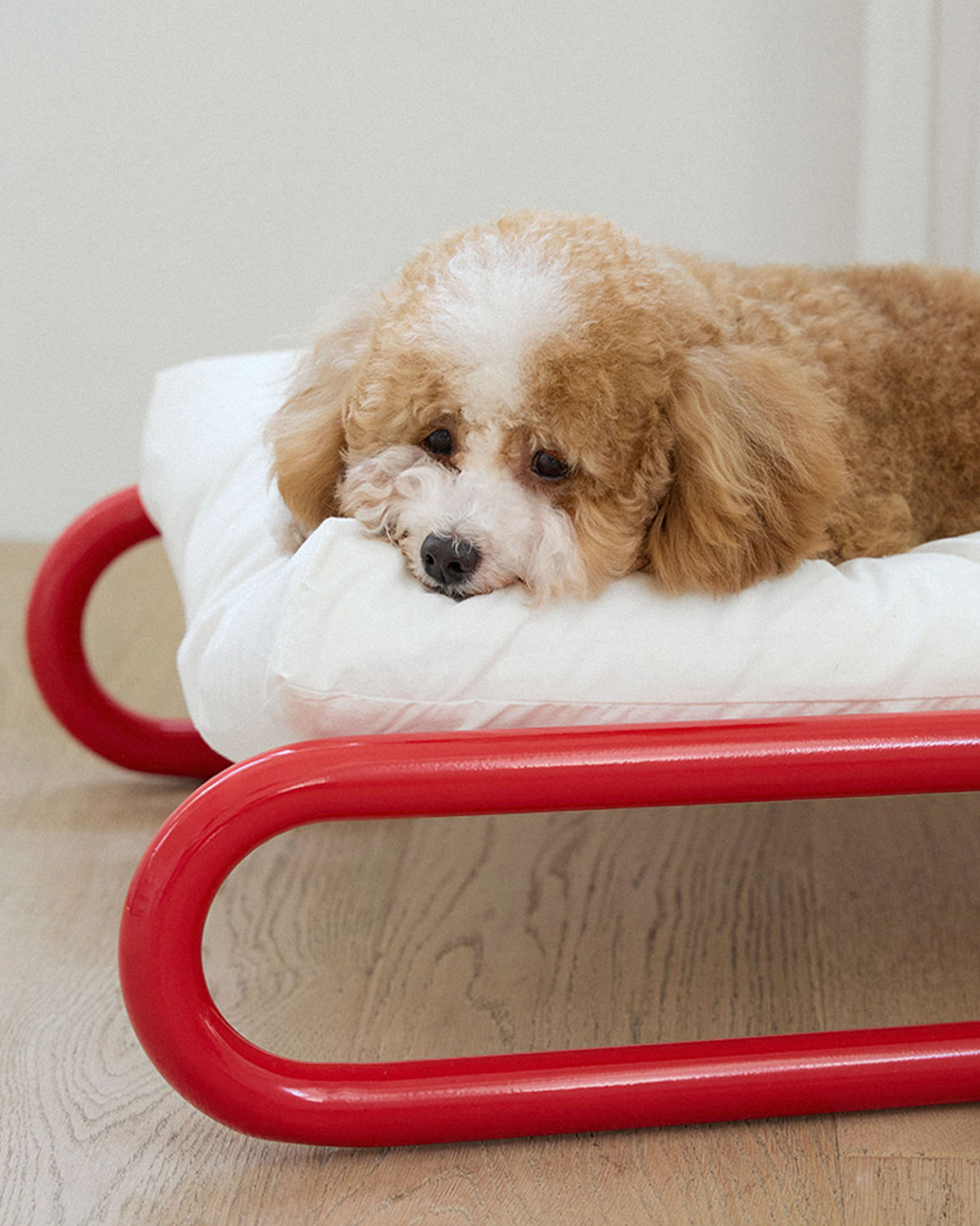 Beddy Bed Red | Preorder