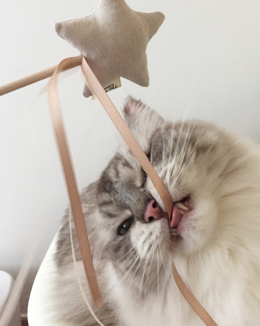 #Color_Beige