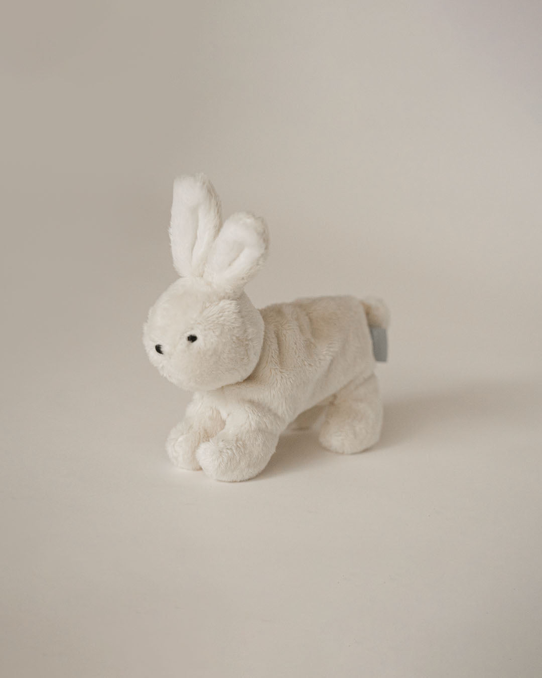 Buddy Bunny