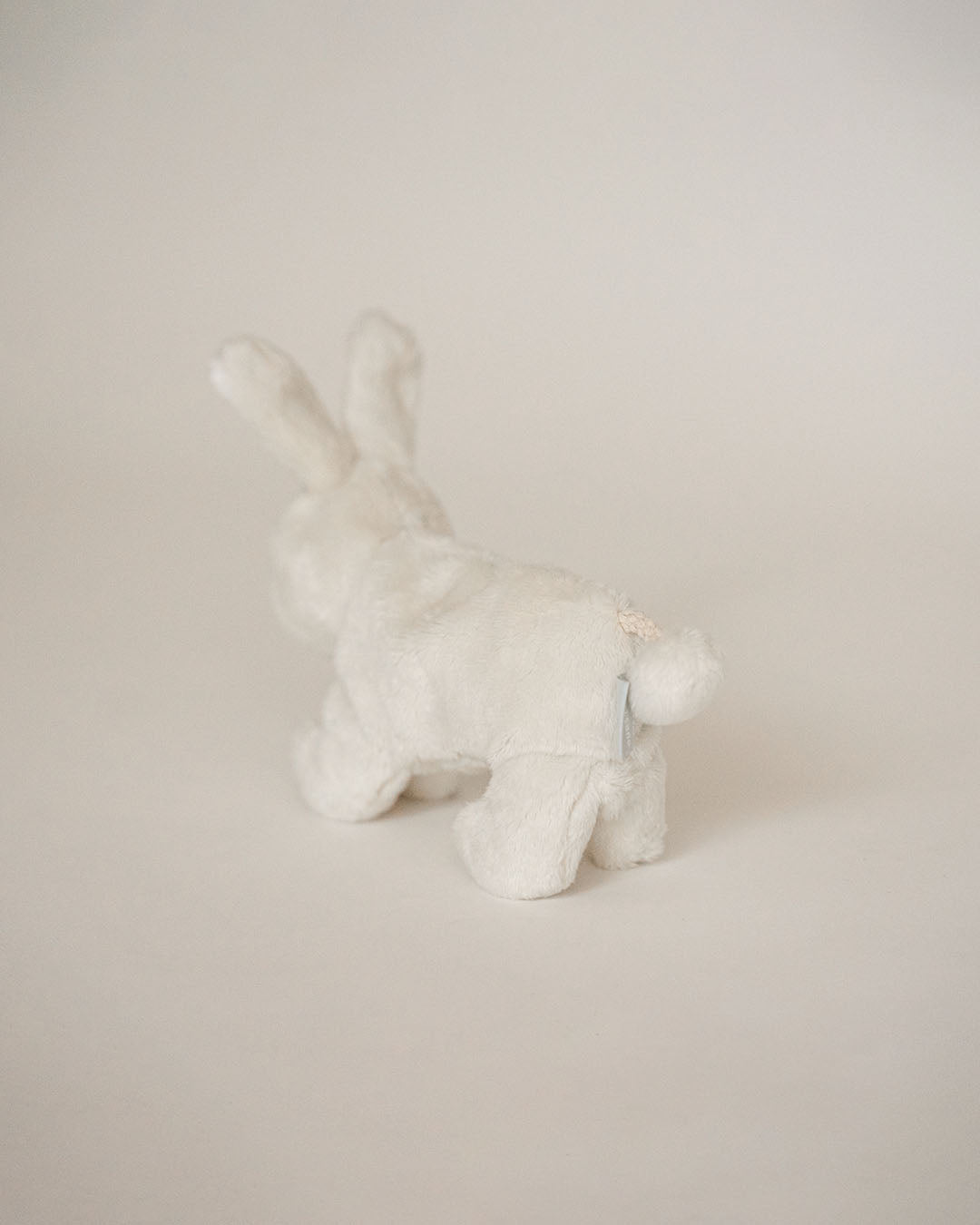 Buddy Bunny