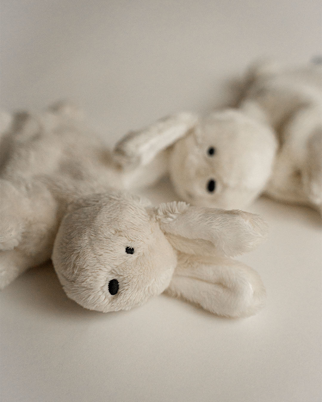 Buddy Bunny