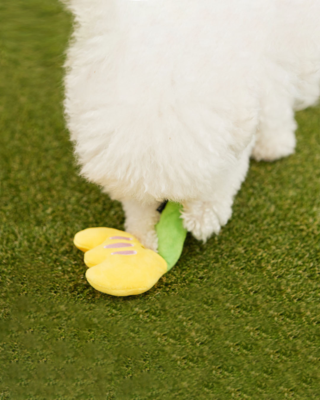 Crinkle Squeaker Toy - Buttercup