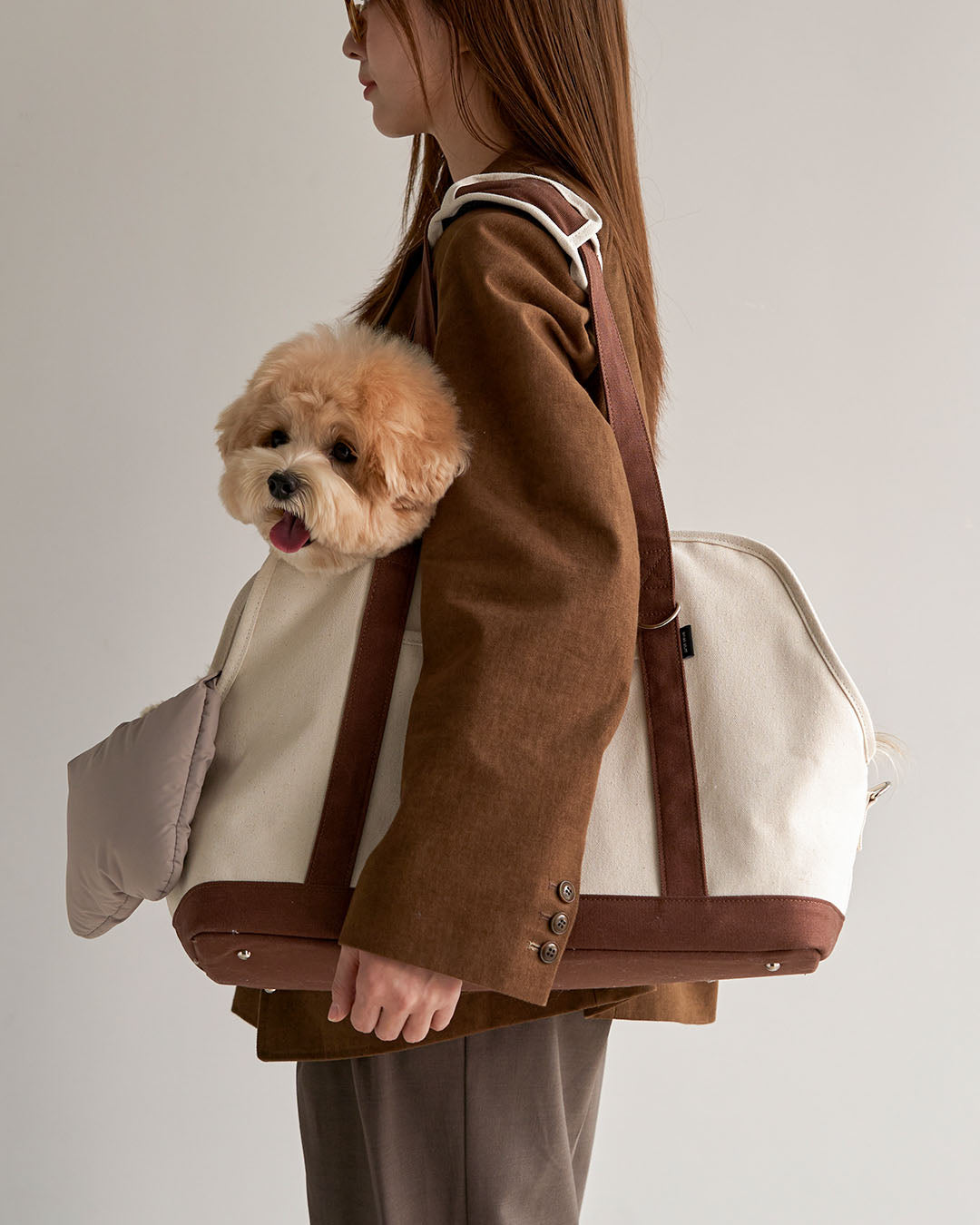 Canvas Carry Bag Brown