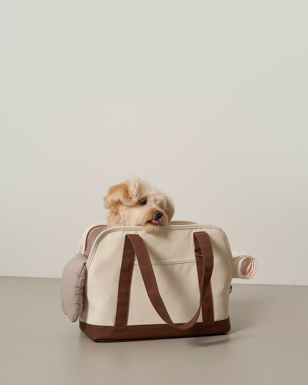 Canvas Carry Bag Brown