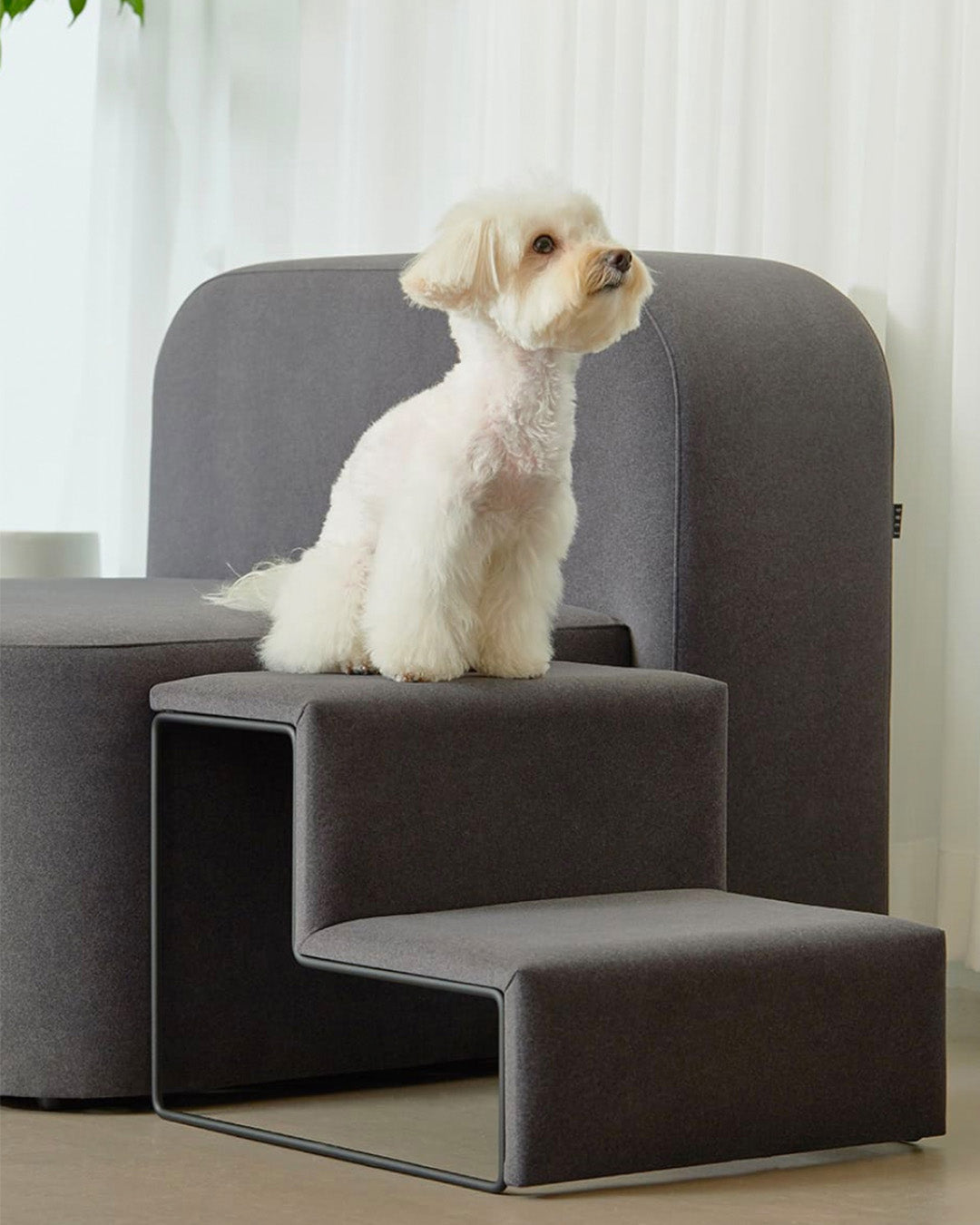 pet steps styled in a modern living room