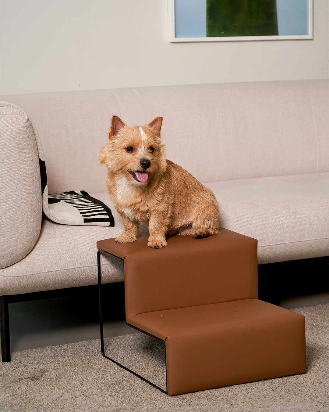 Dig Step Vegan Leather Brown