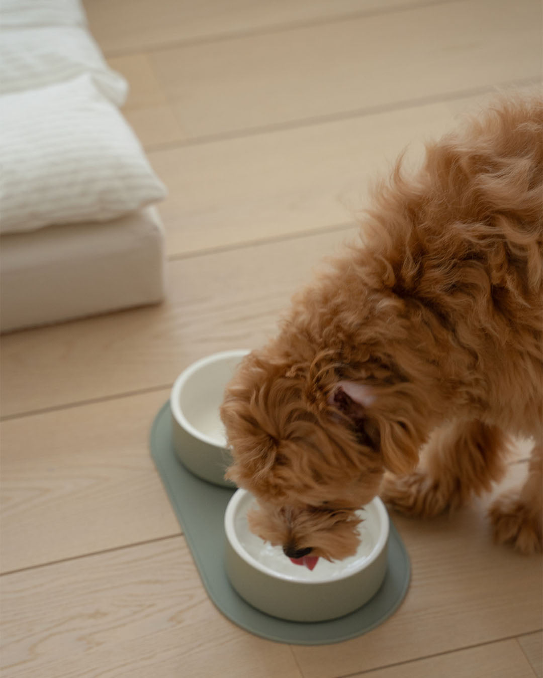 A dog drinking water comfortably from a non-spill, heavy ceramic bowl placed on a non-slip silicone mat.