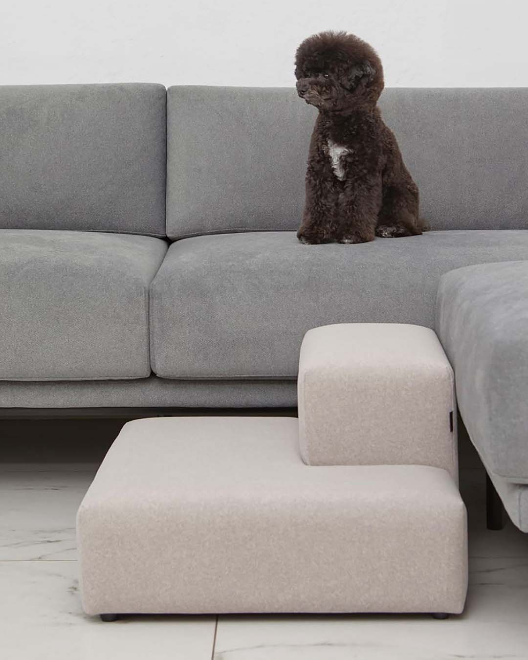 pet steps designed to support dogs with joint sensitivity