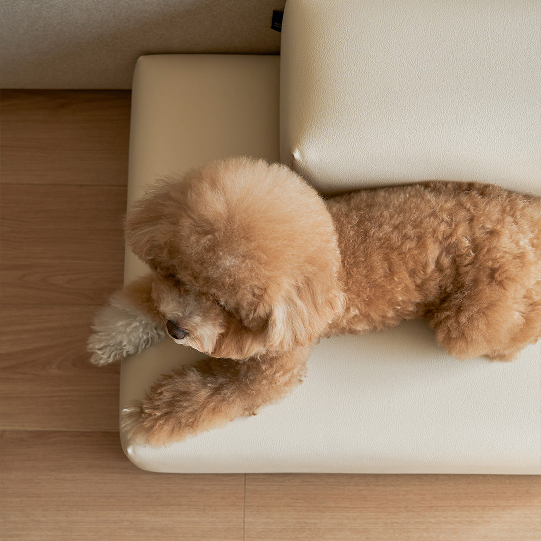 waterproof dog stairs with vegan leather surface