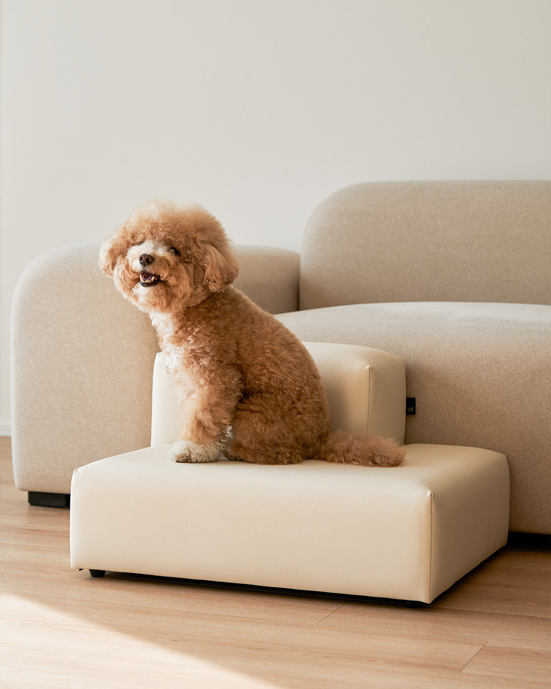 dog stairs designed with a wide base for secure footing