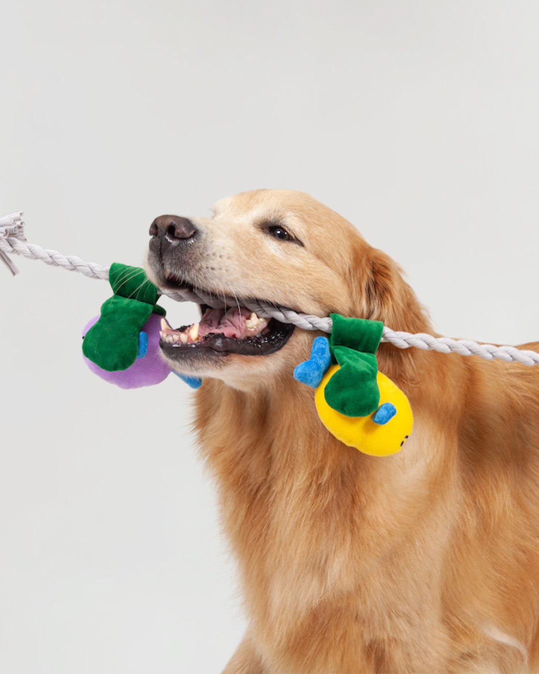 Fishing Tug Toy