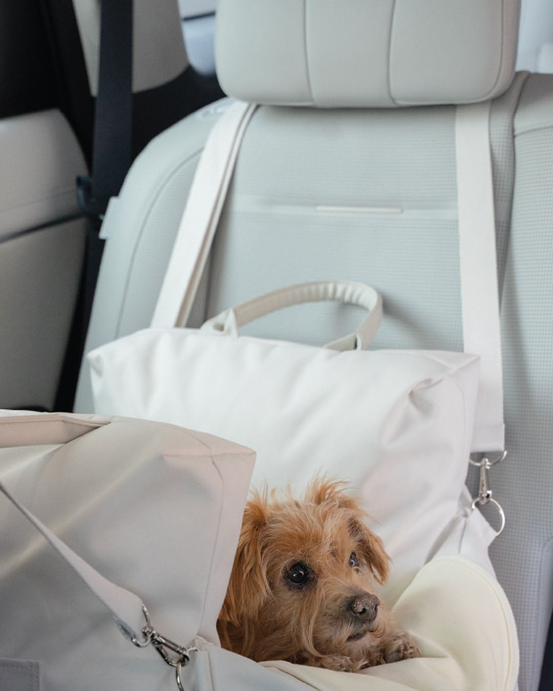 Garden Car Seat White | Preorder