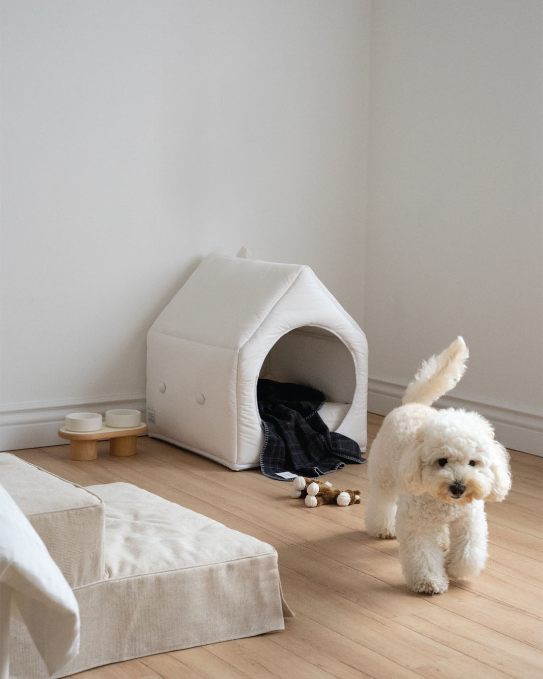 Informal House White Family