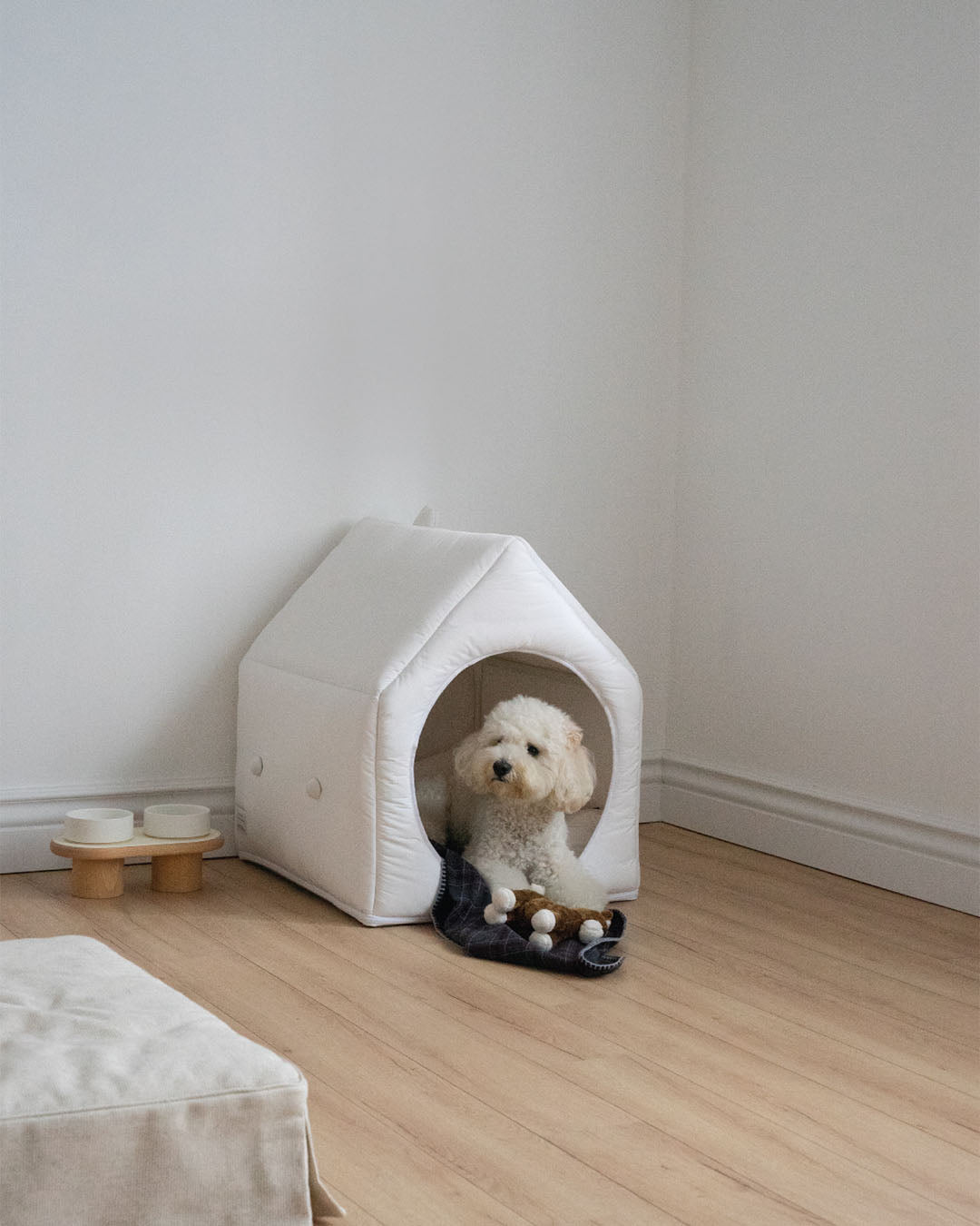 Informal House White Family