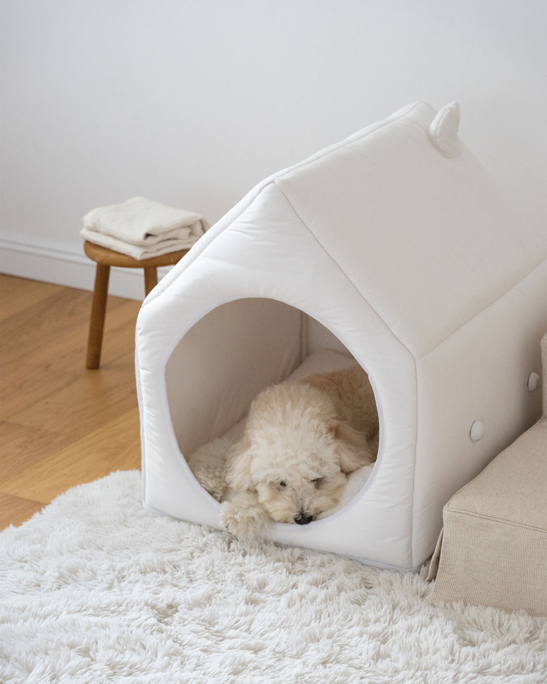 Informal House White Family