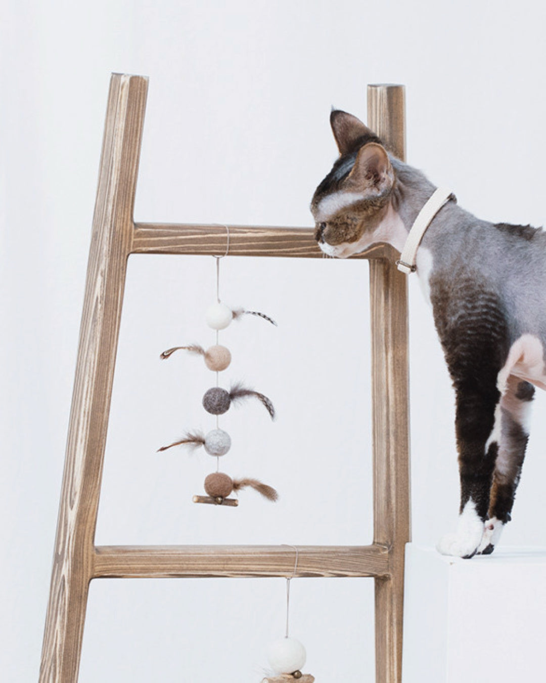 Leaving Bird Hanging Cat Toy