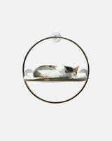 Orbit Window Cat Hammock