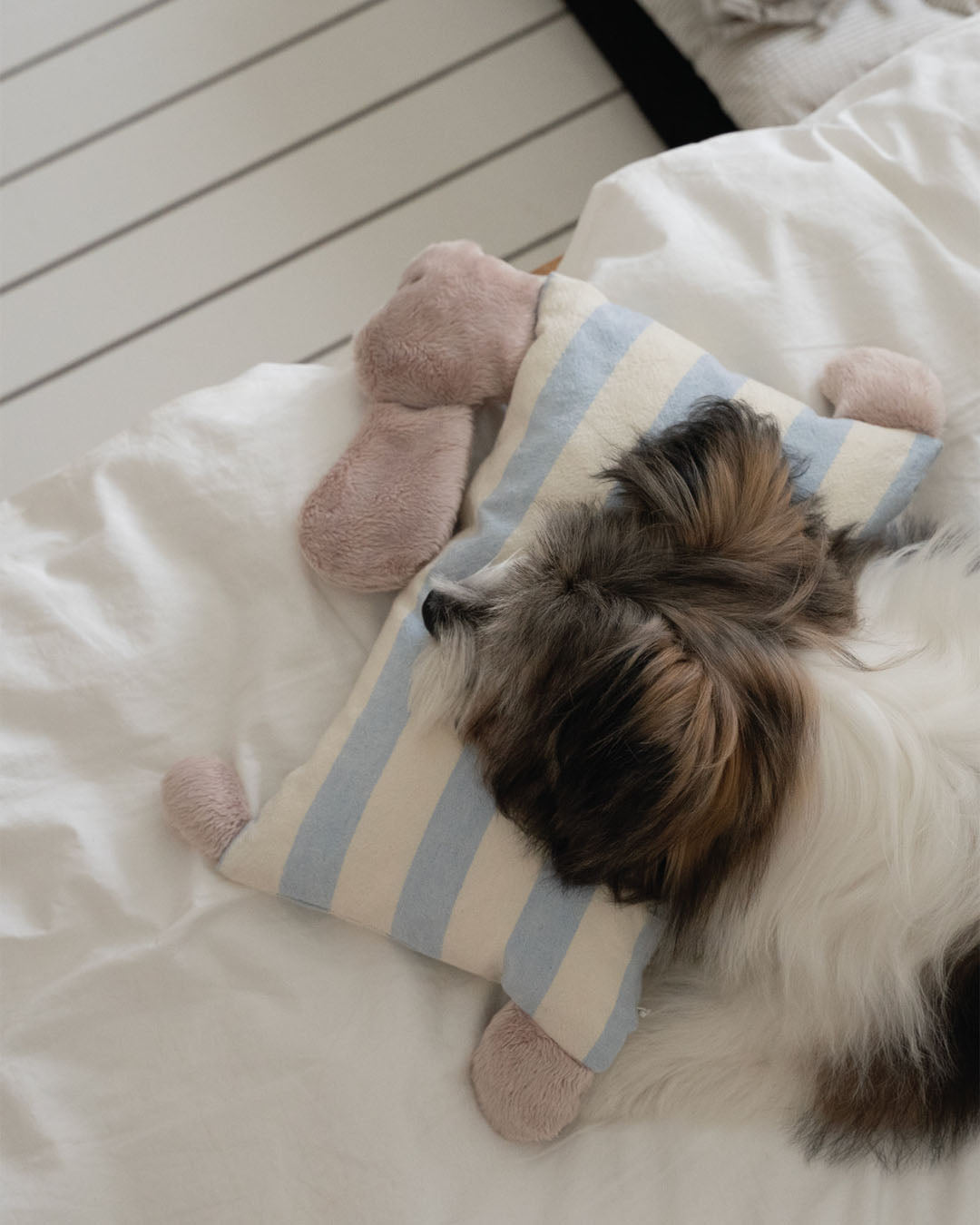 A dog sleeping with its head on the Pillonny, showcasing it as a soothing non squeak dog toy
