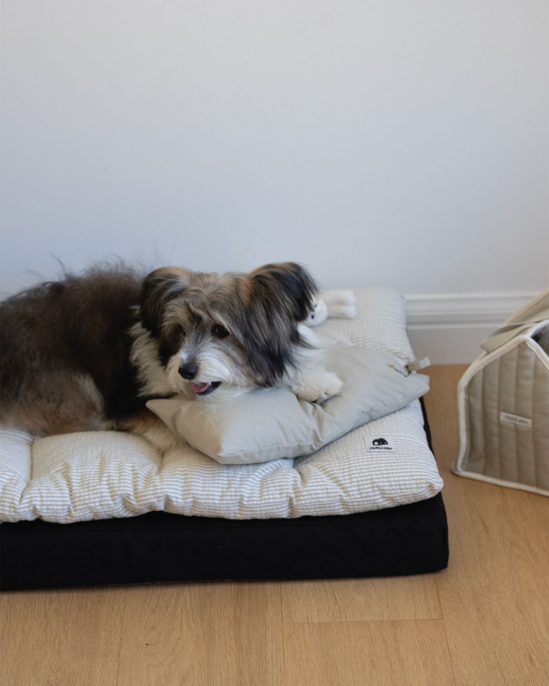 Luxury pet mattress and topper set providing ultimate comfort for small dogs and cats.