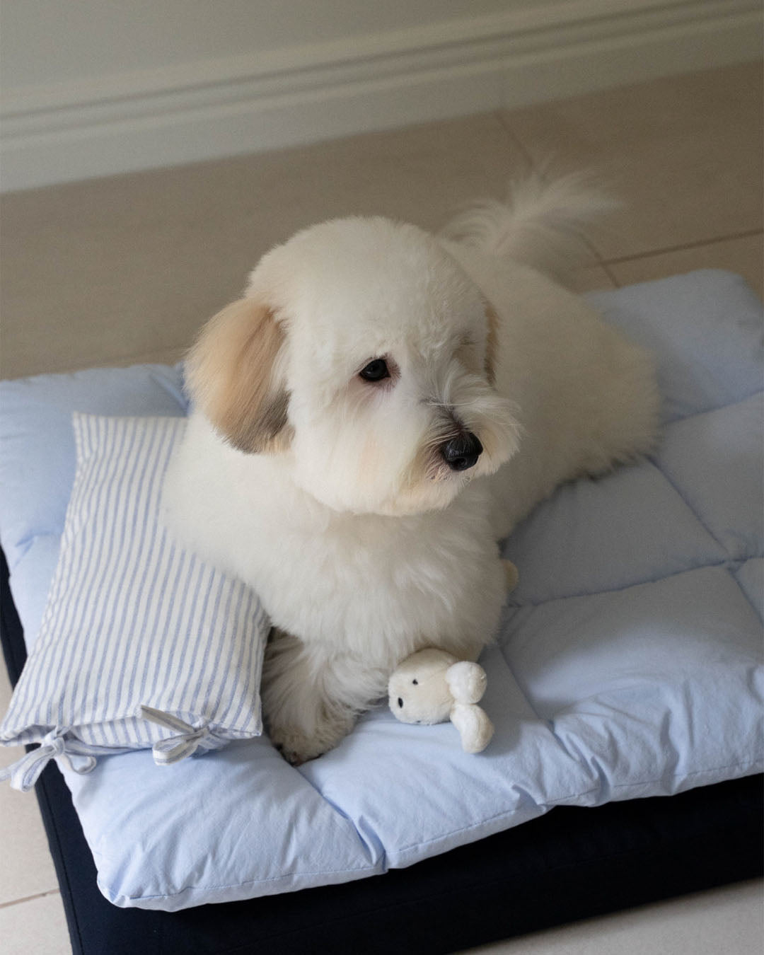 Square Bedding Set Lagoon Blue