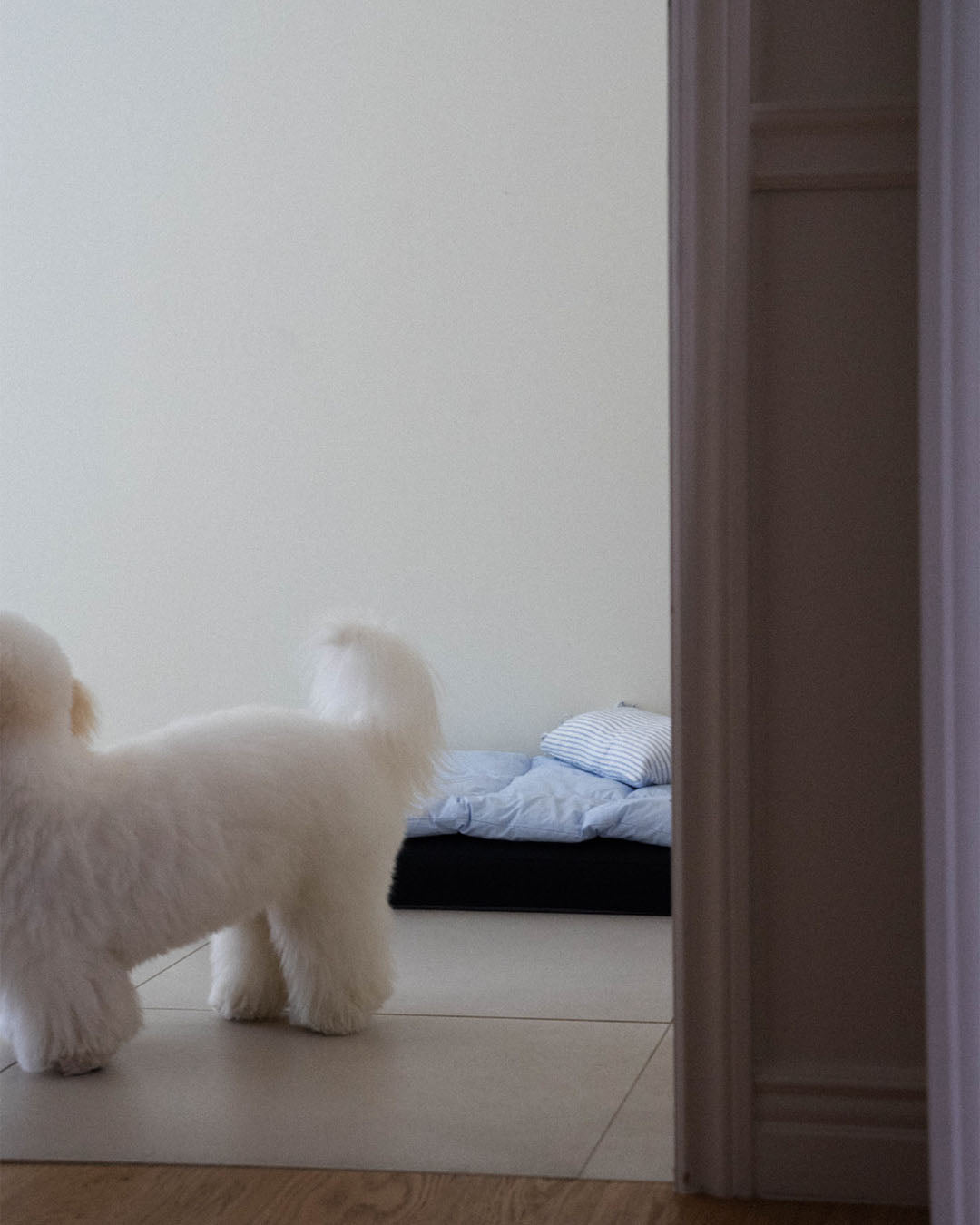 Square Bedding Set Lagoon Blue