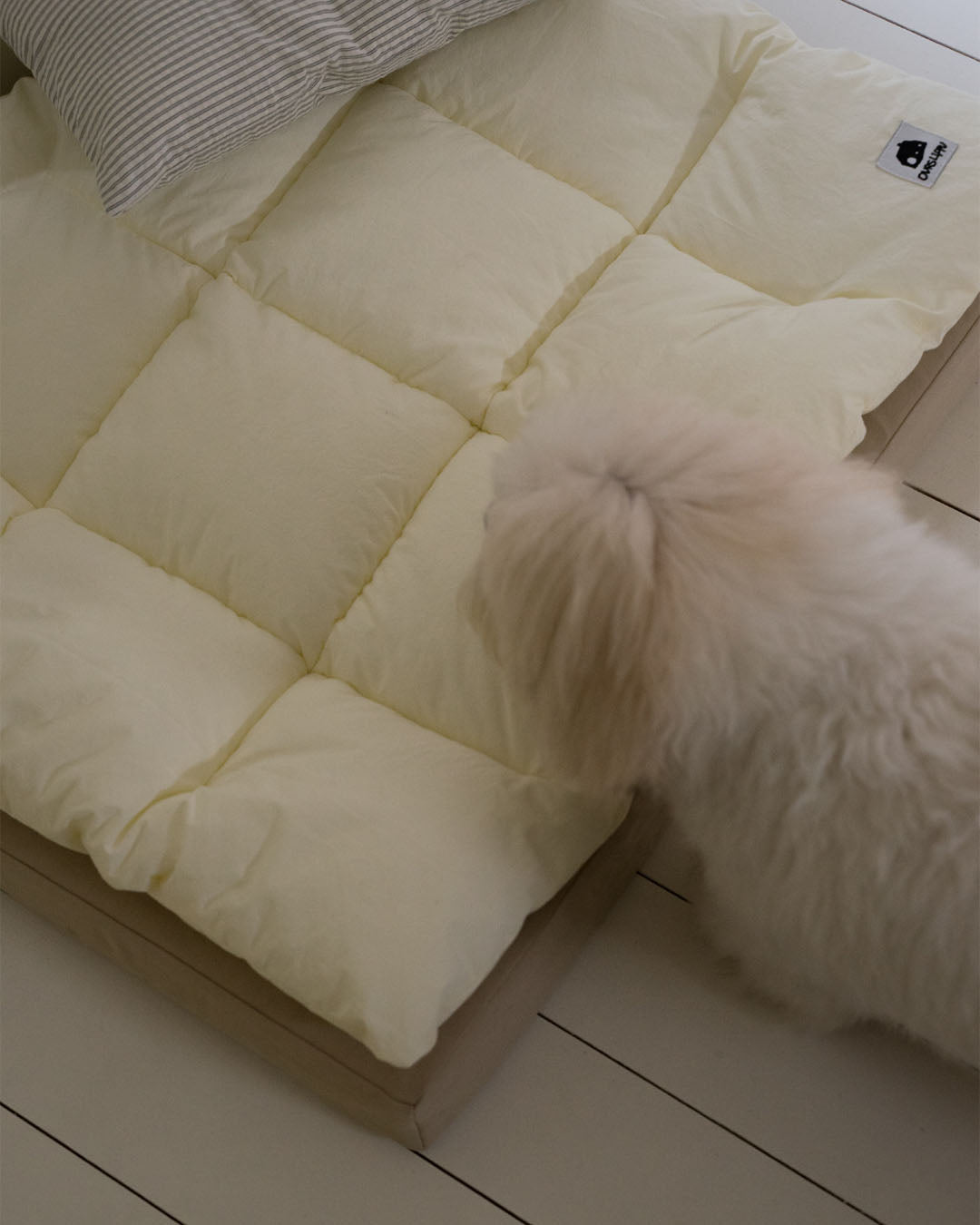 Square Bedding Set Lemon