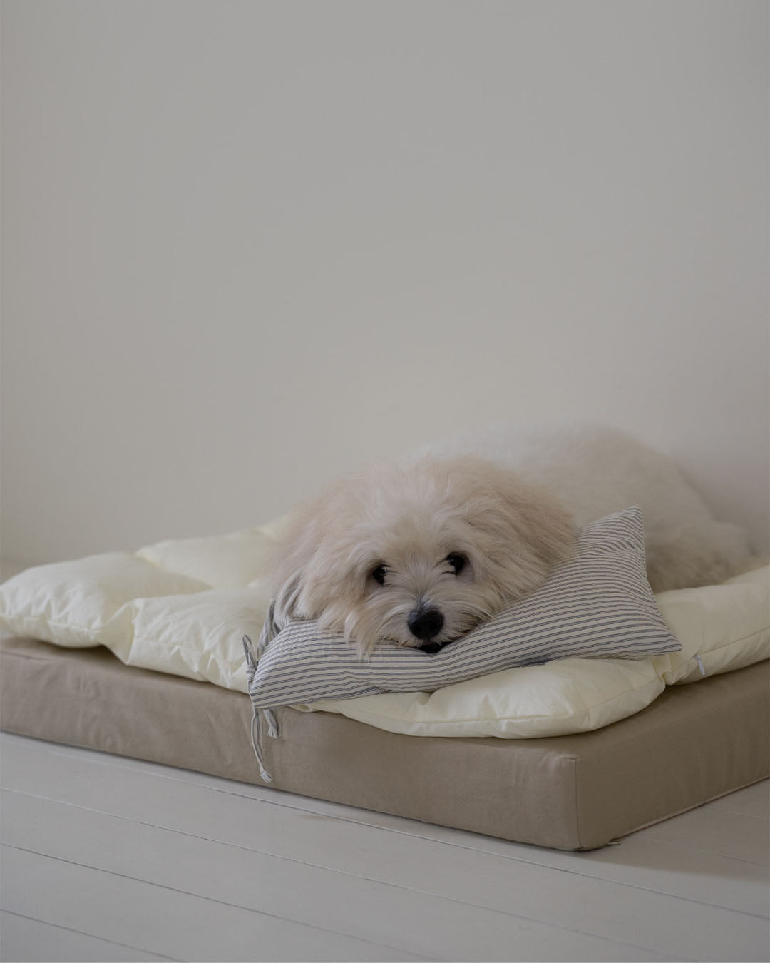 Sophisticated square pet mattress set designed for the ultimate comfort of small pets.