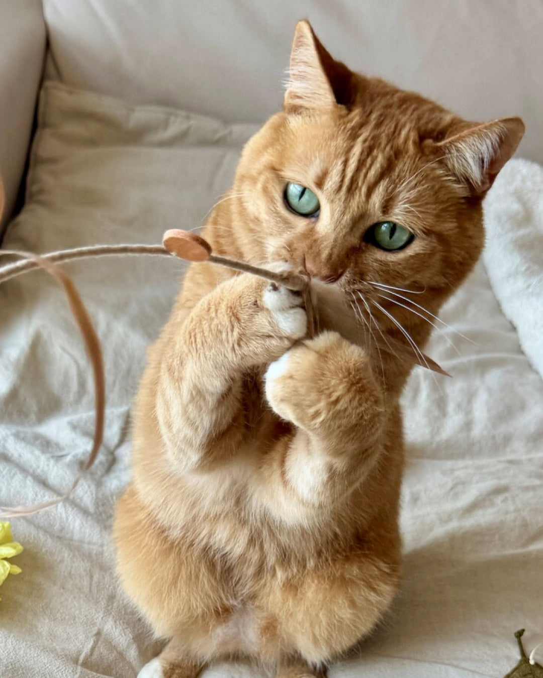 Wheat Cat Wand