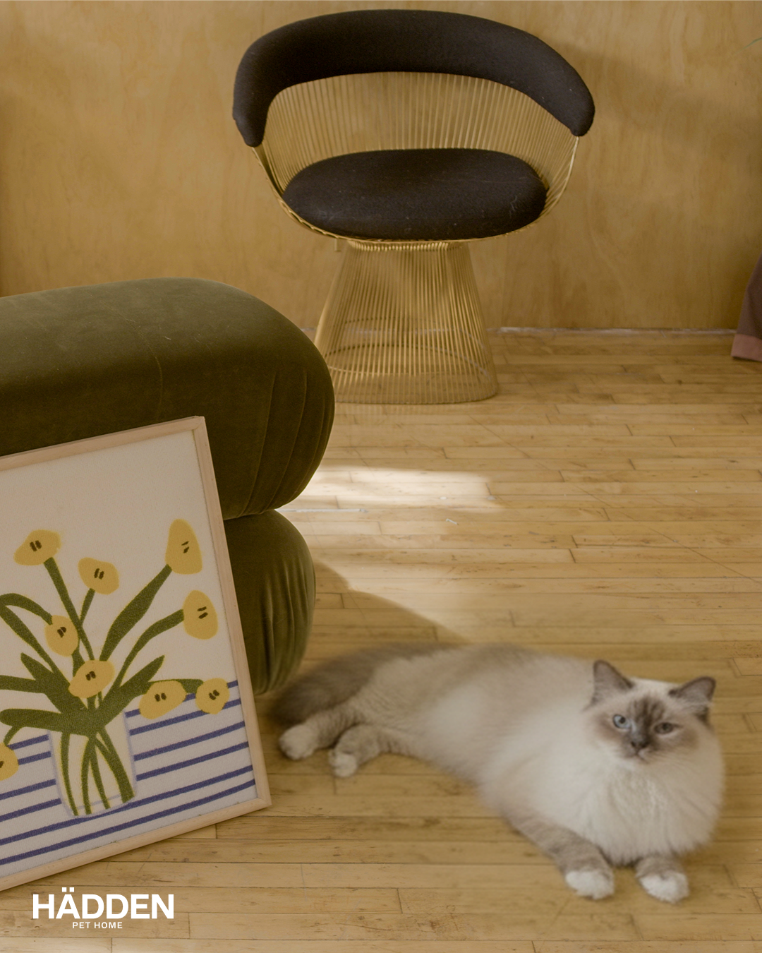 A ragdoll cat lying beside a HÄDDEN scratch art piece in a modern living room