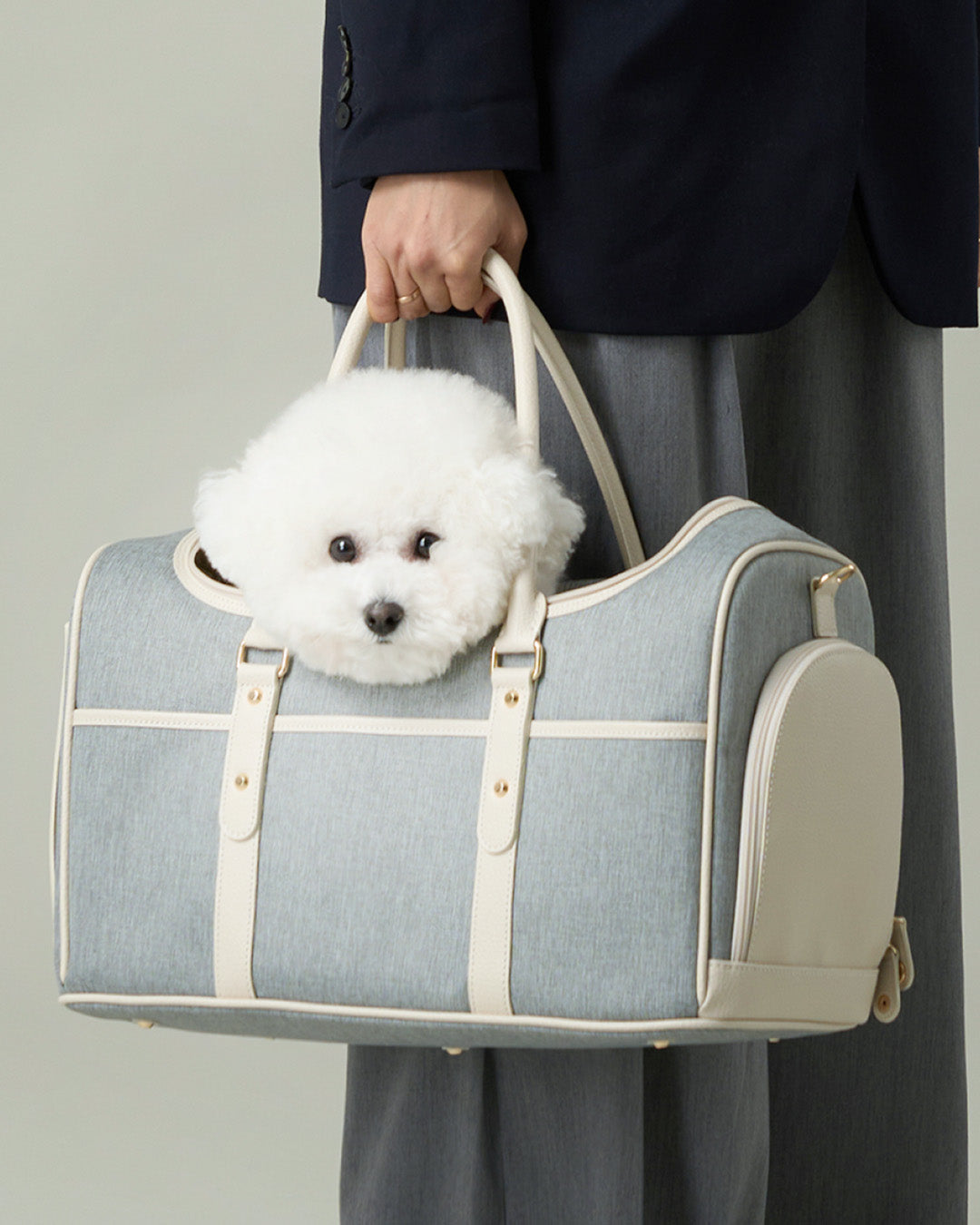 The Stylish Pet Owner’s Guide: Travel in Style