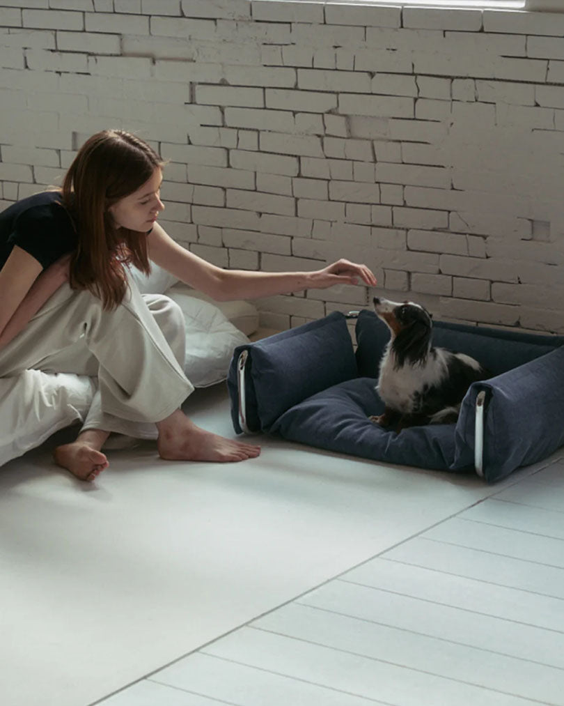 A happy dog having a treat from its owner in the Lying Bed from Design for Pets