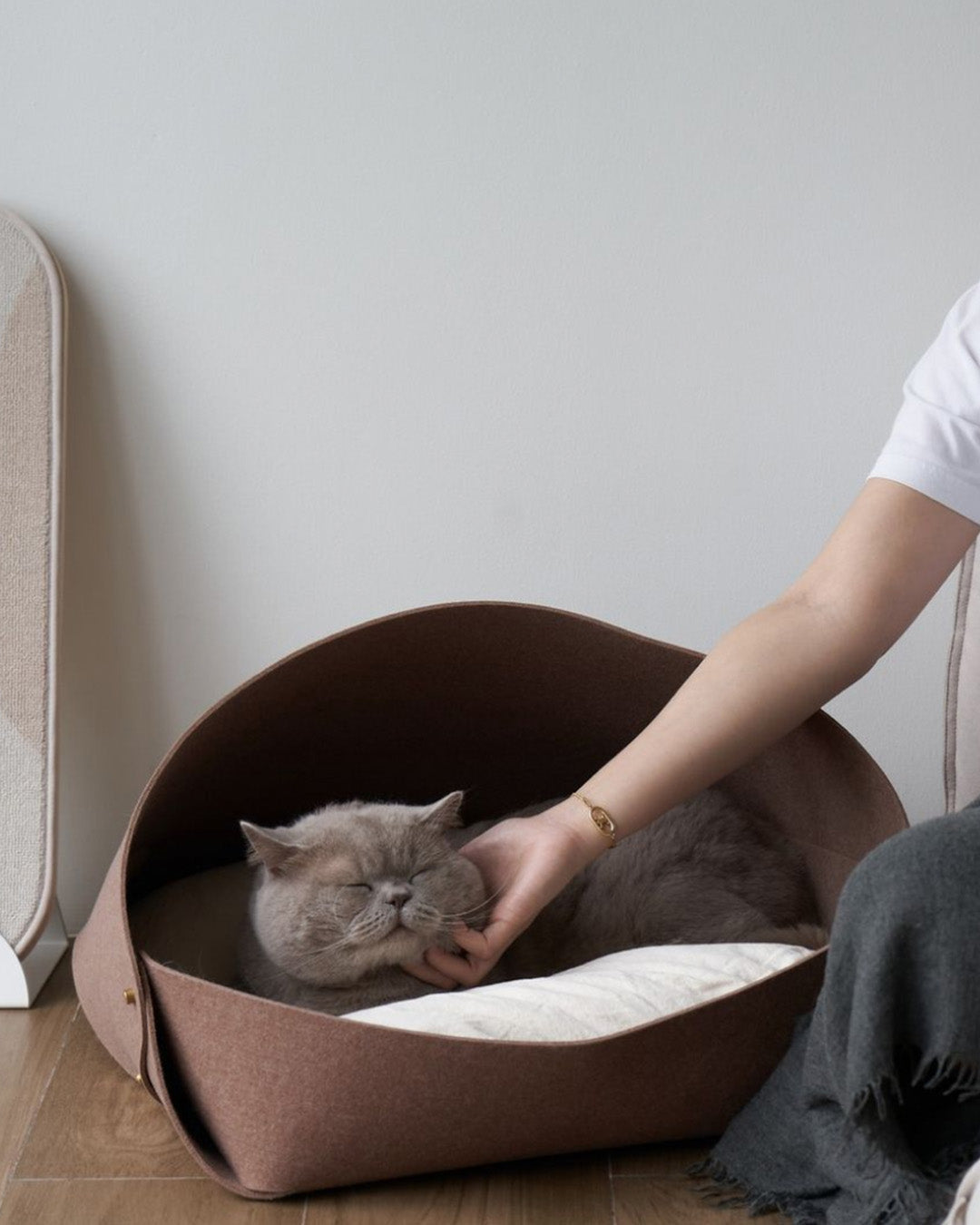 House or Open Bed? Finding the Perfect Resting Spaces for Your Pet