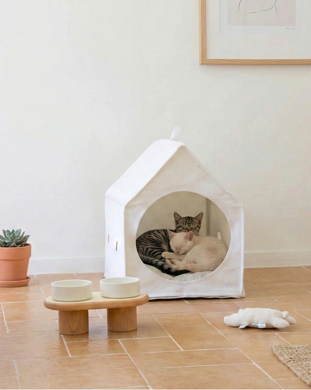 Adding a Second Cat Changes the Home First